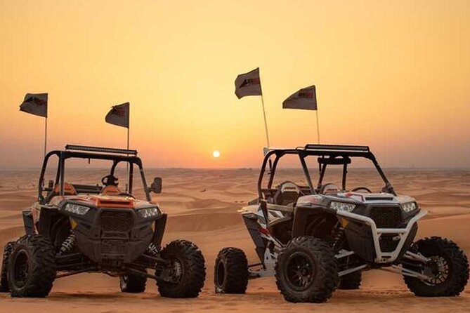 Dune Buggy Ride in High Red Dunes With Desert Safari Activities - Additional Information and Policies