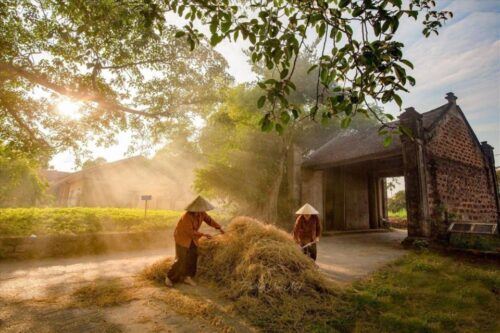 Duong Lam Ancient Village Private Day Tour - Highlights