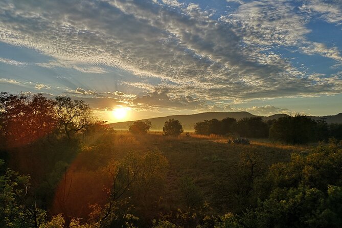 Early Morning Balloon Safari With Breakfast From Magaliesburg - Common questions