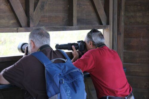 Ebro Delta: Northern Delta Guided Tour With a Local - Last Words