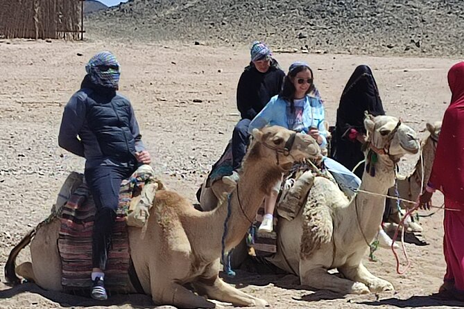 Egyptian Desert Quad Bike VIP - Last Words