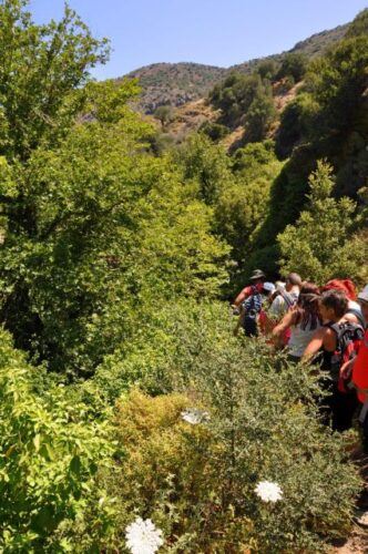 Elounda: Private Tour to Rihti Waterfalls and Mochlos - Additional Information