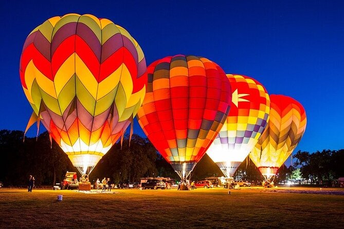 Enjoy Dubai Beautiful Desert by Balloon & Falcon Show - Experience the Falcon Show