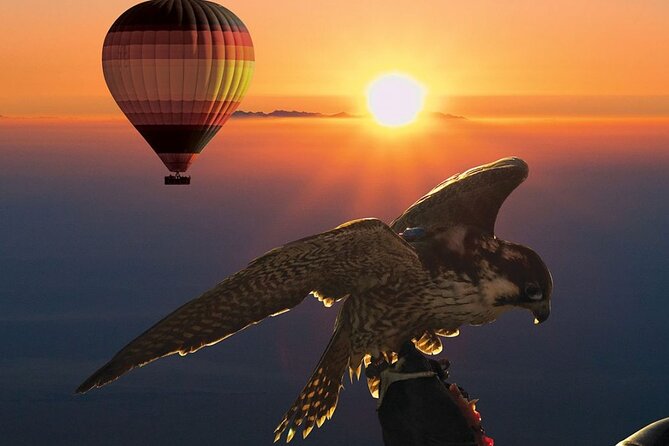 Enjoy Dubai Beautiful Desert Hot Air Ballon&Falcon Show and Camel - Exciting Activities Included