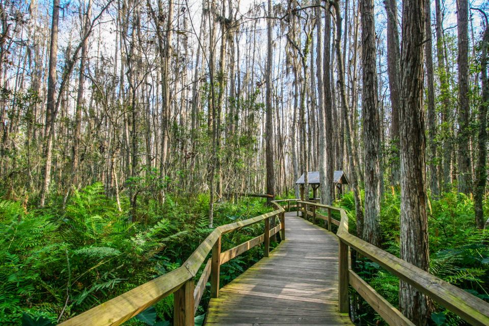Everglades & Big Cypress Self Guided Driving Tour Bundle - Wildlife and Natural Habitat Exploration
