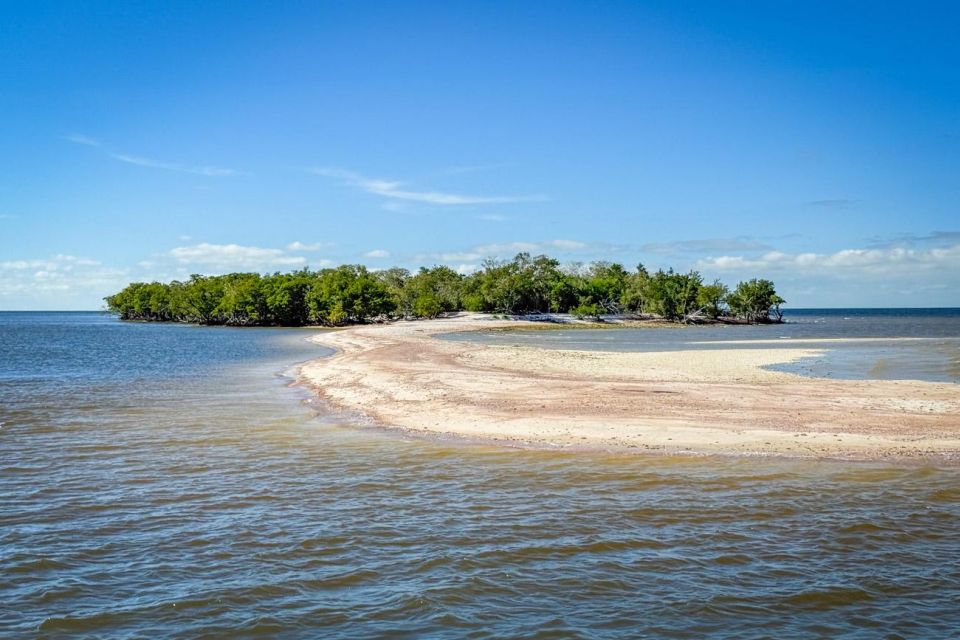 Everglades National Park: Pontoon Boat Tour & Boardwalk - Directions & Helpful Tips