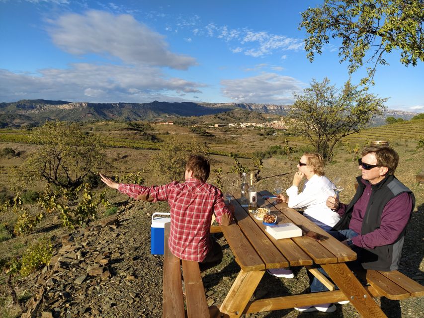 Falset: Guided Wine Tour to the Priorat by a Local - Last Words