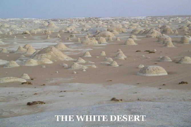 Fantastic Overnight White Desert and Baharya Oasis - Last Words