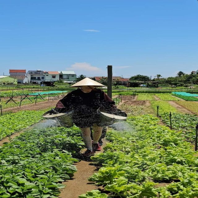 Farming - Local Market - Cooking Class In Tra Que Vegetable - Directions