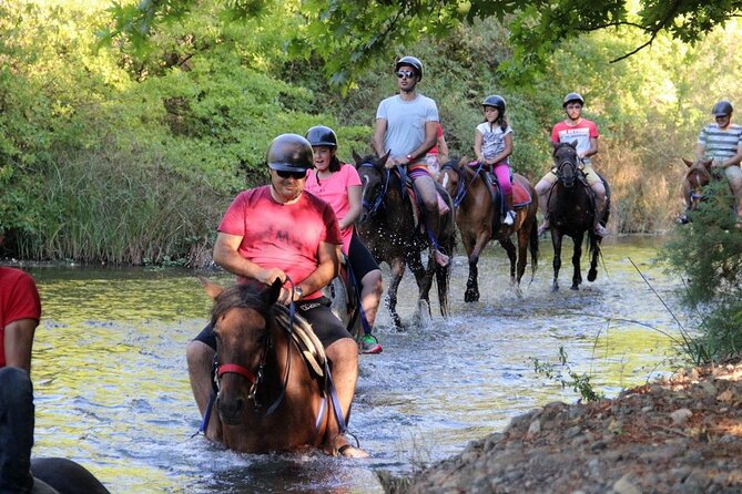 Fethiye Horse Riding Experience With Free Hotel Transfer Service - Booking, Pricing, and Terms