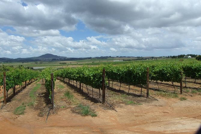 Fine Wines & Vines Full Day Tour - Booking Process
