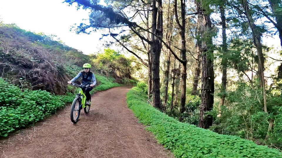 Firgas: Gran Canaria Forest Mountain Bike Tour - Free Cancellation Policy