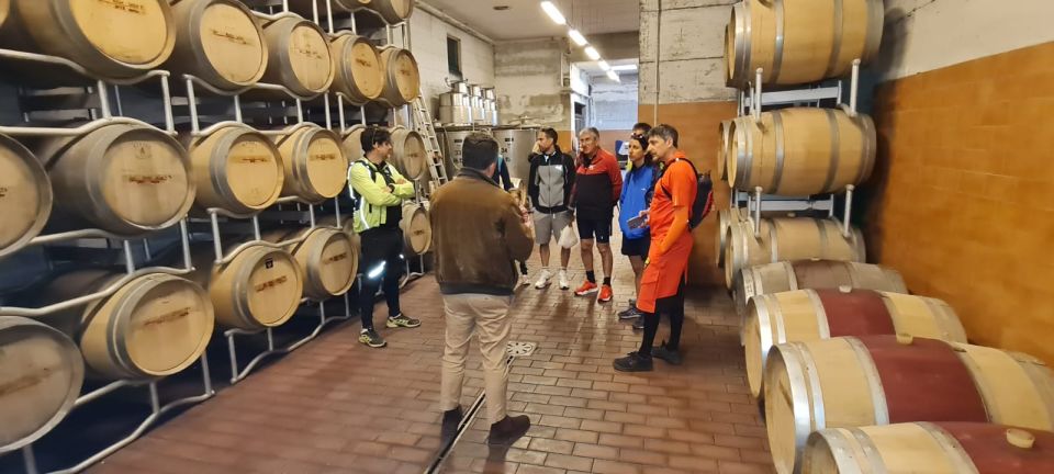 Frascati: Tour in E-Bike With Wine Tasting - Common questions