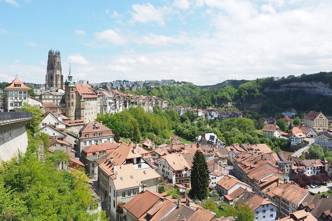 Fribourg - Old Town Historic Private Guided Tour - Visit to Fontaine Jo Siffert