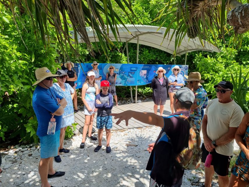 From 1770: Lady Musgrave Island Snorkelling Day Cruise - Common questions