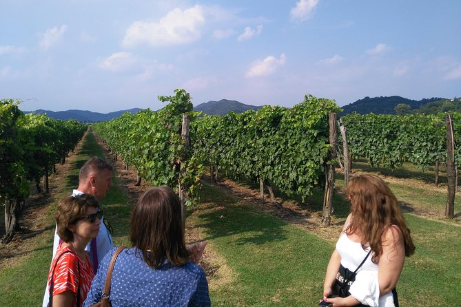 From Abano Montegrotto, Wine Tour in the Euganean Hills - Traveler Photos and Feedback