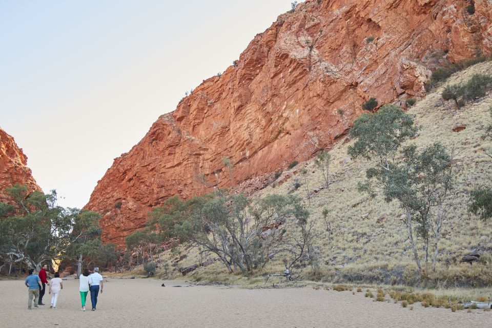 From Alice Springs: West MacDonnell Ranges Half Day Trip - Customer Reviews
