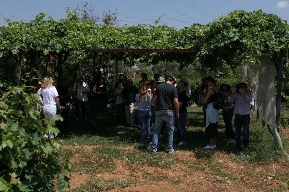 From Athens: Nemea & Nafplio Private Wine and History Tour - Directions