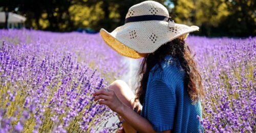 From Avignon: Lavender & Luberon Villages - Multilingual Tour Guide Experience