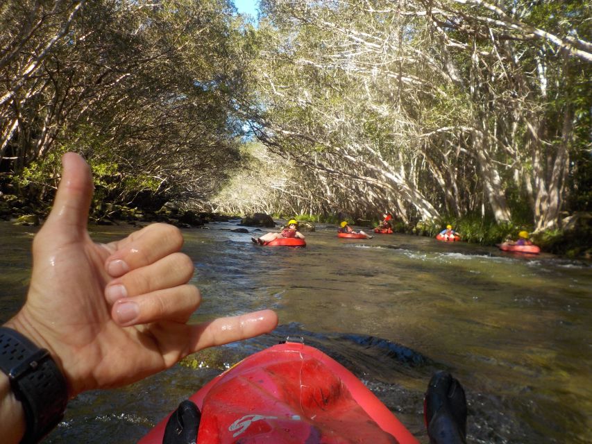 From Cairns and Northern Beaches: Rainforest River Tubing - Important Information