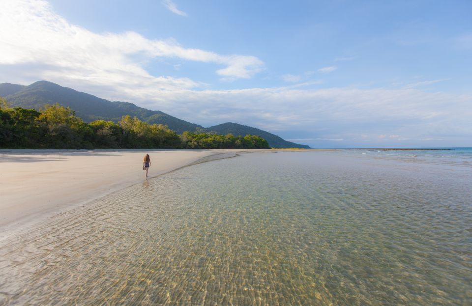 From Cairns: Daintree Wilderness & Cape Tribulation Bus Tour - Last Words