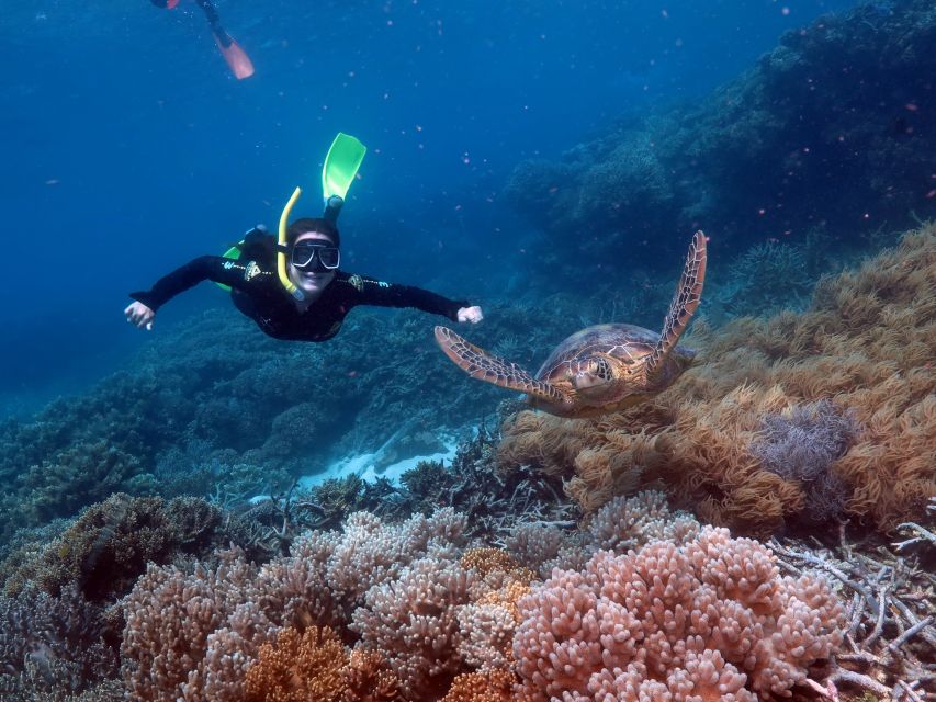 From Cairns: Great Barrier Reef Cruise and Activity Platform - Additional Information