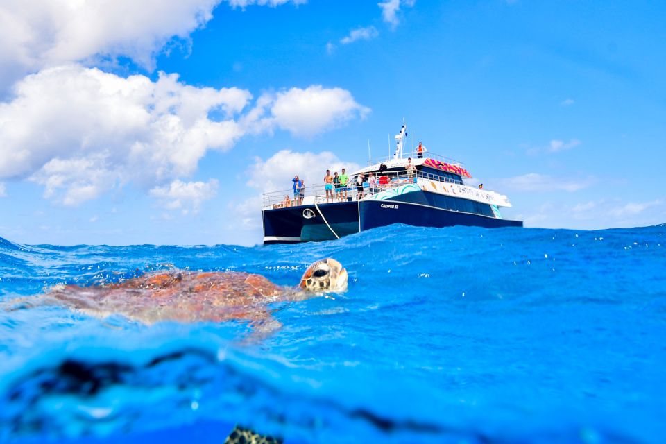 From Cairns: Great Barrier Reef Snorkeling Trip With Lunch - Snorkeling Opportunities