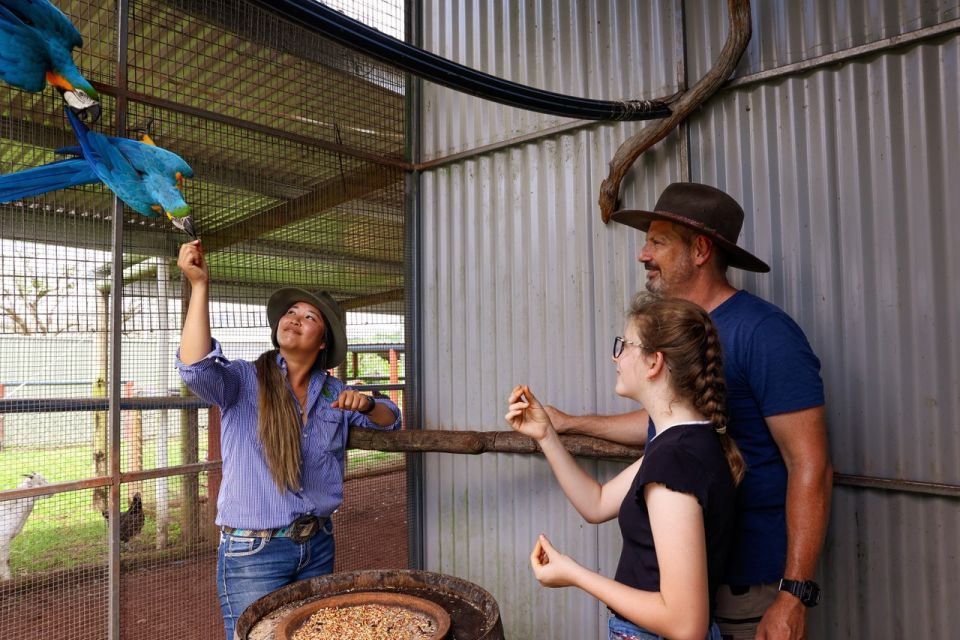 From Cairns: Kuranda Day Trip With Petting Zoo and Quad Ride - Important Information