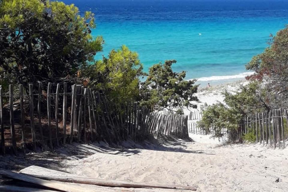 From Calvi: 4x4 Day Tour Mountain & Agriates' Saleccia Beach - Testimonials and Positive Feedback