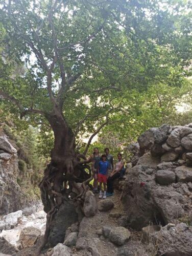 From Chania: Agia Irini Gorge Hike & Secret Cove Relaxation - Restrictions & Recommendations