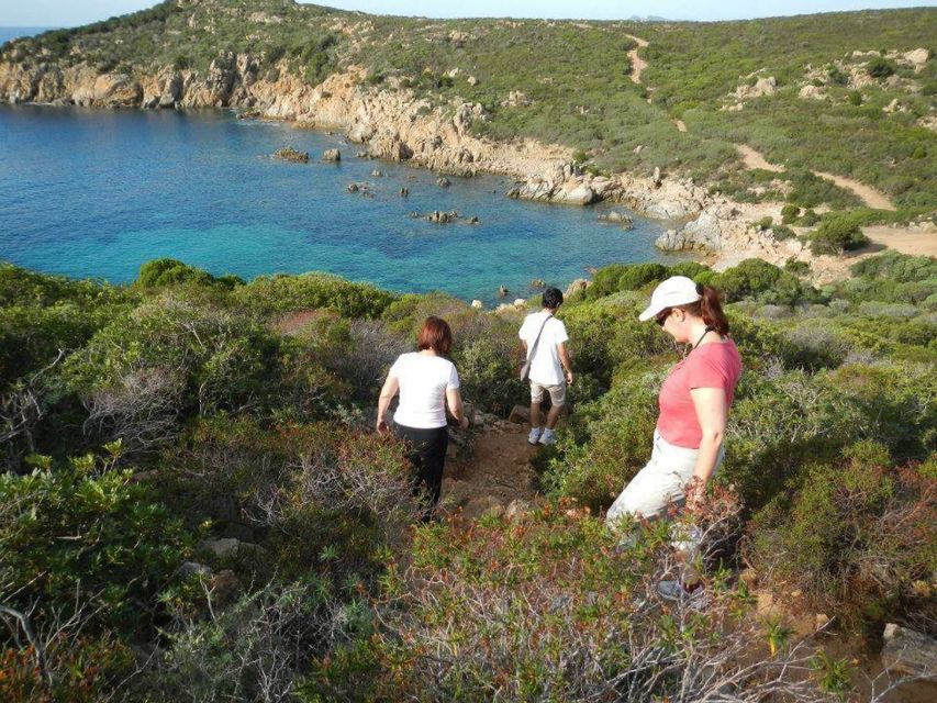 From Chia: Private Jeep Tour of Sardinias Hidden Beaches - Important Information