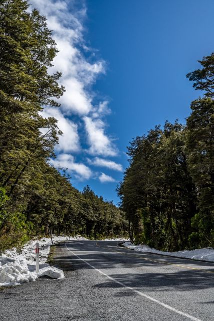 From Christchurch: Arthur's Pass Guided Day Trip With Lunch - Common questions