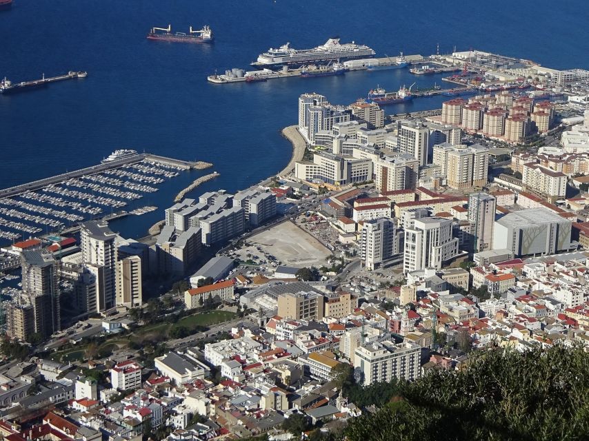 From Costa Del Sol: Gibraltar Dolphin Watching by Boat - Directions