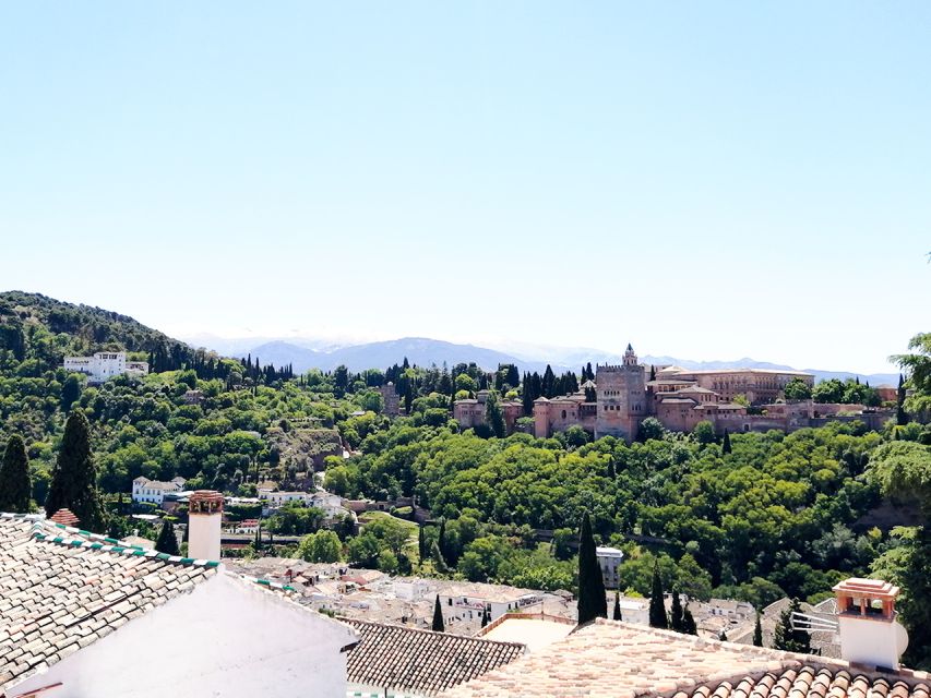 From Costa Del Sol: Granada Day Trip Free Time 5h - Customer Reviews and Ratings