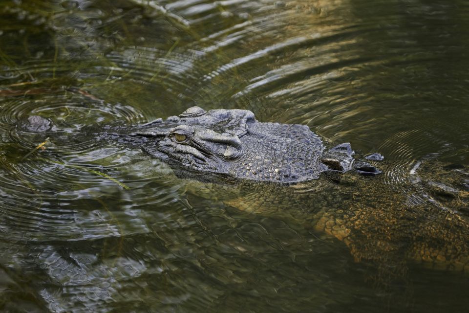 From Darwin: Kakadu National Park Full Day Tour - Safety Measures