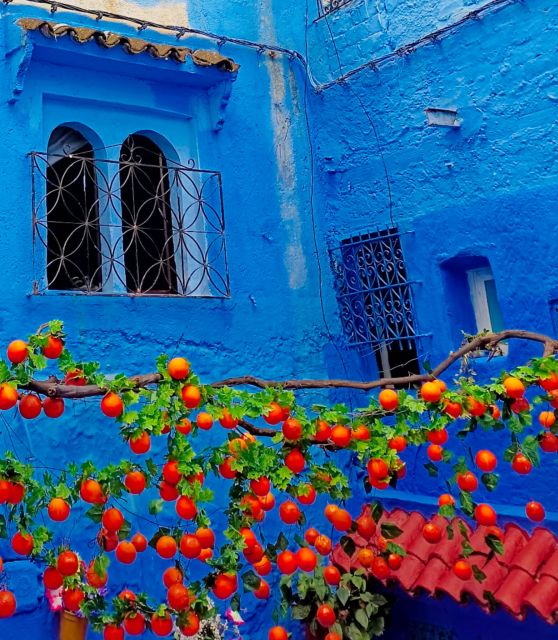 From Fez : Memorable Day Trip to Chefchaouen the Blue City - Scenic Drive and Panoramic Views