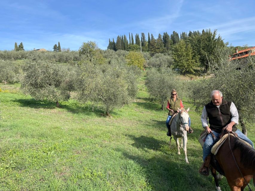 From Florence: Horseback Ride and Olive Oil Tour With Lunch - Requirements and Recommendations