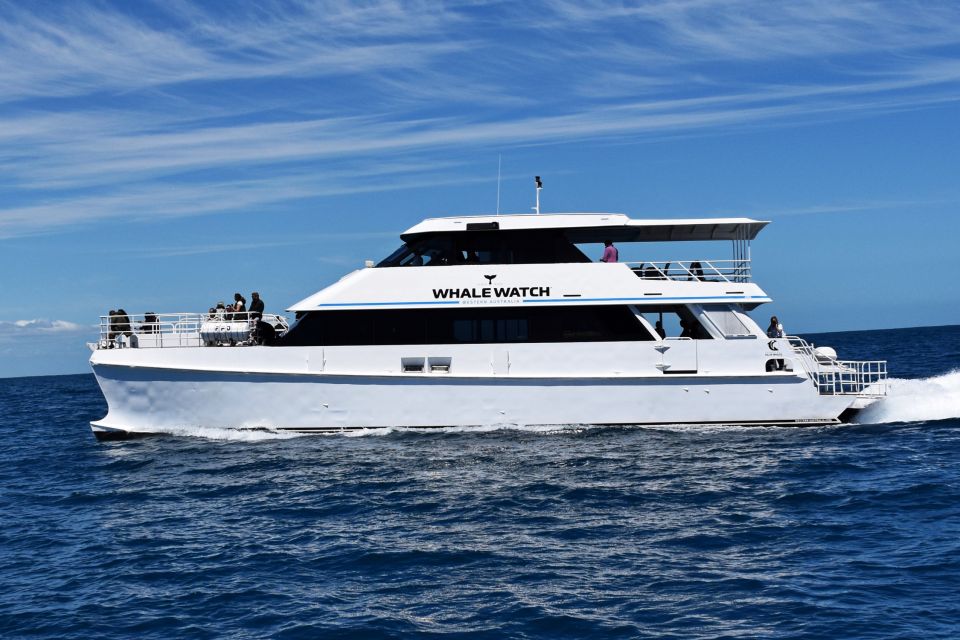 From Fremantle: 2-Hour Luxury Whale-Watching Cruise - Directions