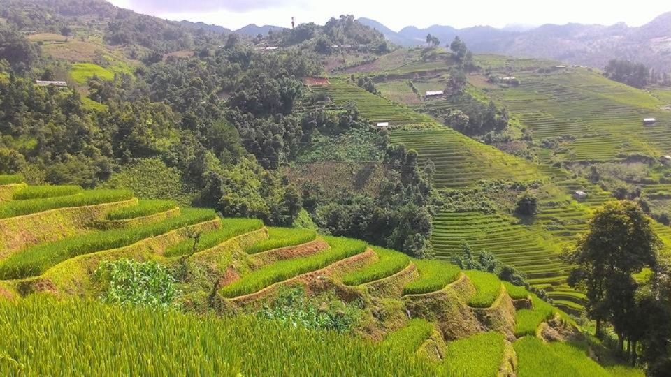 From Hanoi: 2 Day Sapa Trekking To Village & Bungalow - Highlights of the Trip