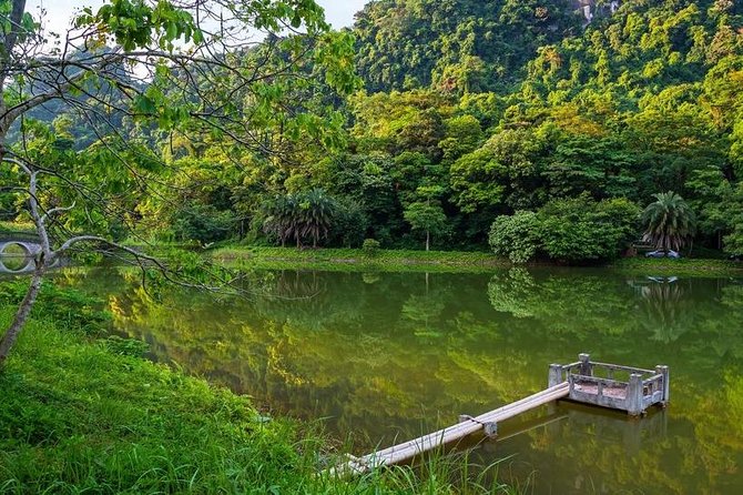 From Hanoi: Cuc Phuong National Park Day Trip by Private Car - Traveler Reviews and Ratings