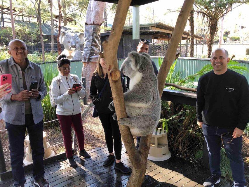From Haymarket: Hunter Valley Wine and Wildlife Day Trip - Common questions