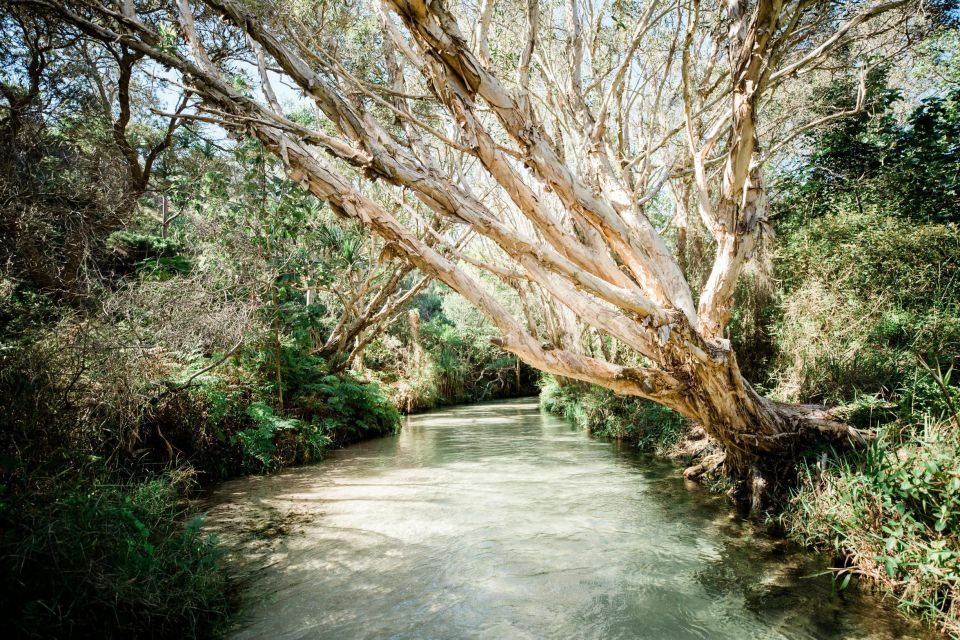 From Hervey Bay: Kgari, Fraser Island Full-Day Coach Tour - Directions