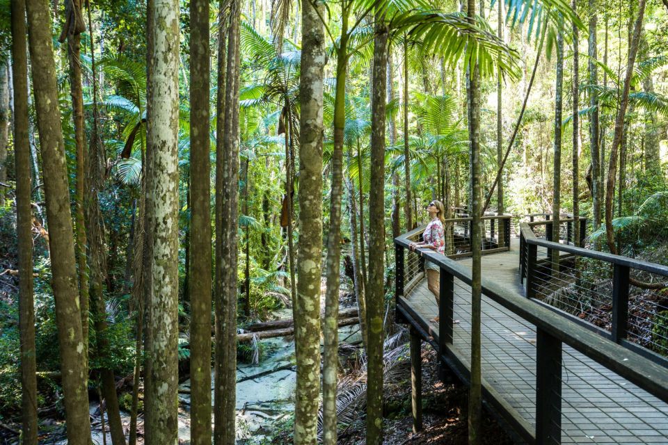 From Hervey Bay: K'gari, Fraser Island Two-Day Coach Tour - Common questions