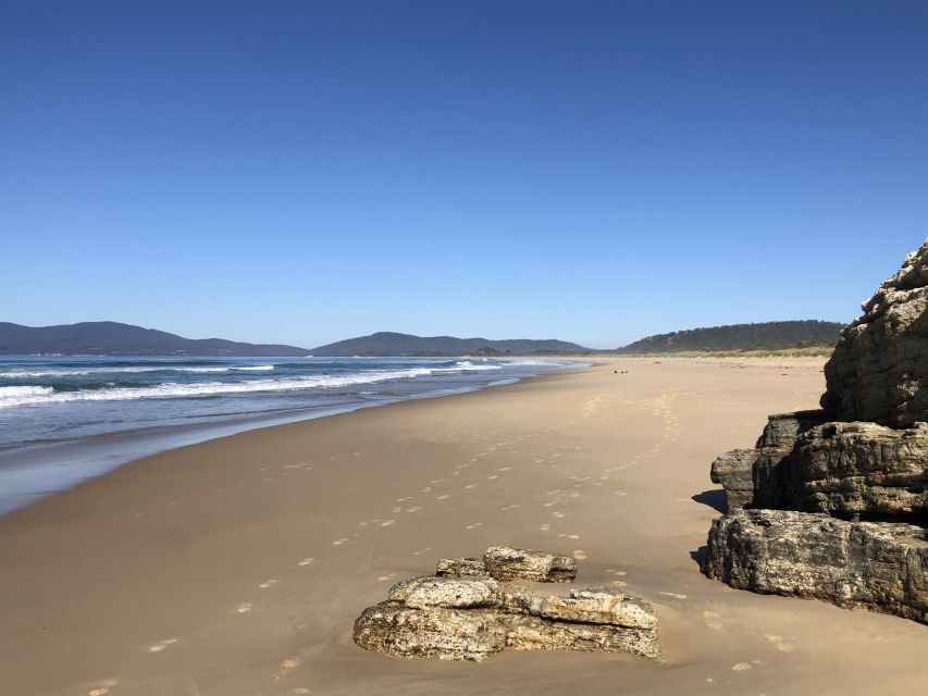 From Hobart: Bruny Island Nature and Produce Full-Day Tour - Common questions