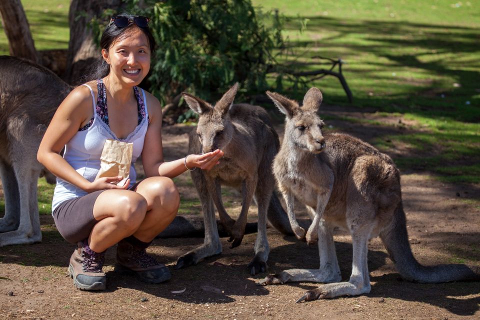 From Hobart: Mt. Field, Mt. Wellington and Wildlife Day Tour - Directions