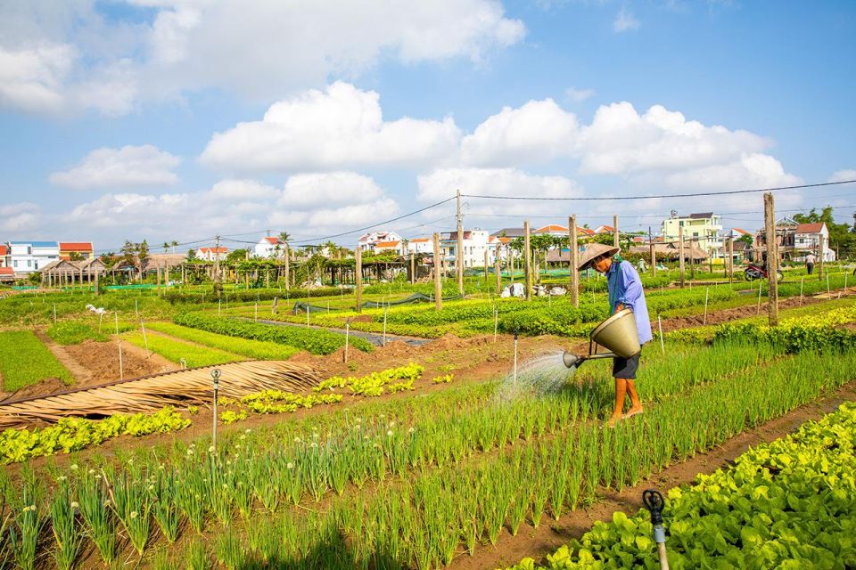 From Hoi An: Half-Day Tra Que Vegetable Village Bike Tour - Directions