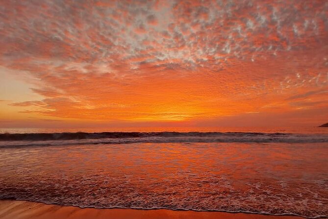 From Huatulco: Turtle Release & Bioluminescence - Last Words