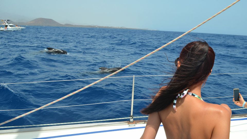 From Los Gigantes: Whale Watching Sailboat Cruise - Sustainable Practices