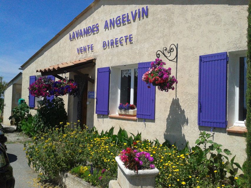 From Marseille: Valensole Lavenders Tour From Cruise Port - Customer Reviews