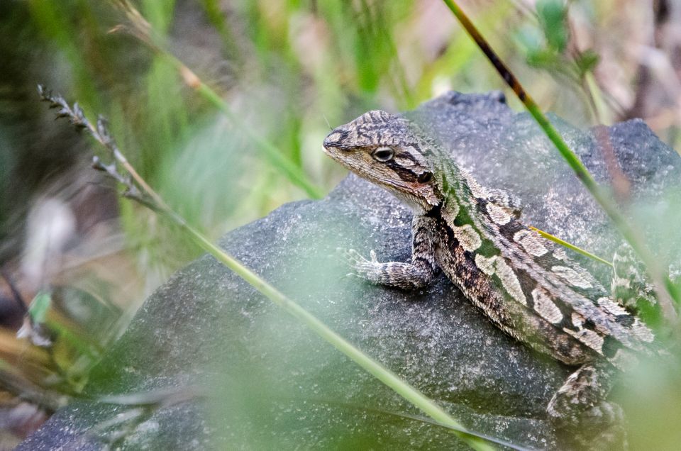 From Melbourne: Grampians National Park Bushwalking Tour - Important Information